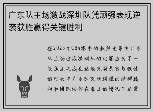 广东队主场激战深圳队凭顽强表现逆袭获胜赢得关键胜利