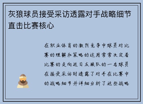 灰狼球员接受采访透露对手战略细节直击比赛核心