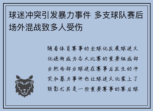 球迷冲突引发暴力事件 多支球队赛后场外混战致多人受伤