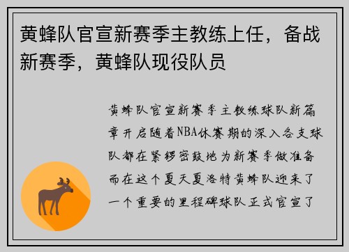 黄蜂队官宣新赛季主教练上任，备战新赛季，黄蜂队现役队员